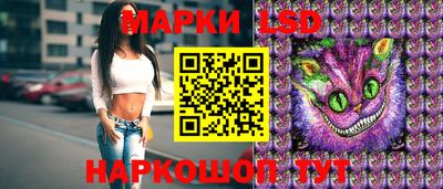 гидра Будённовск