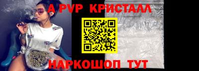гидра Будённовск
