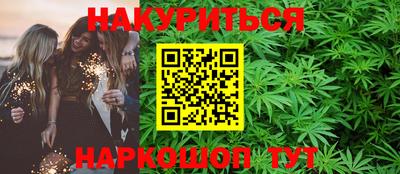 гидра Будённовск